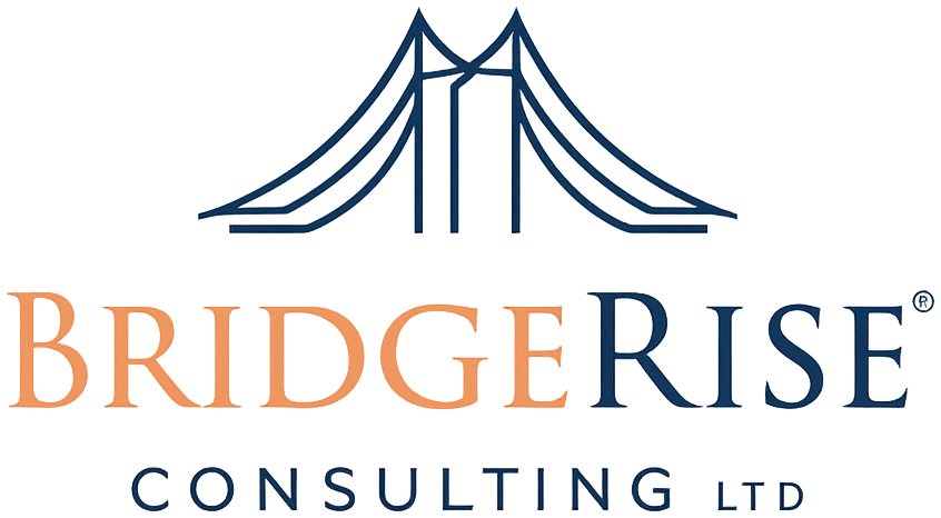 BridgeRise Consulting Ltd